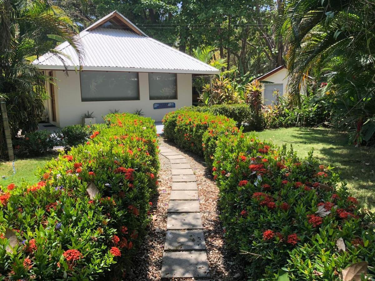 Casa Cecilia Beach Front Playa Santa Teresa  ภายนอก รูปภาพ