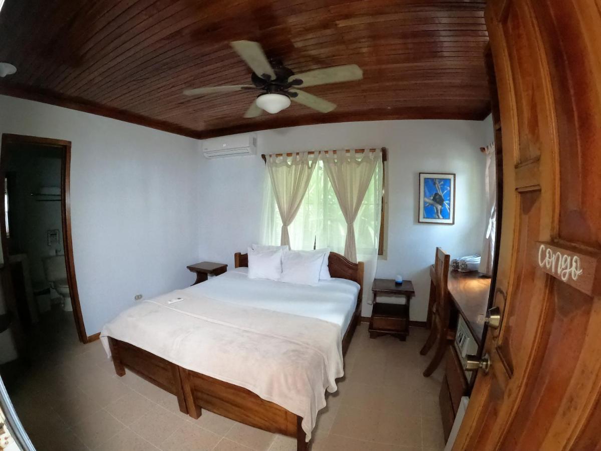 Casa Cecilia Beach Front Playa Santa Teresa  ภายนอก รูปภาพ