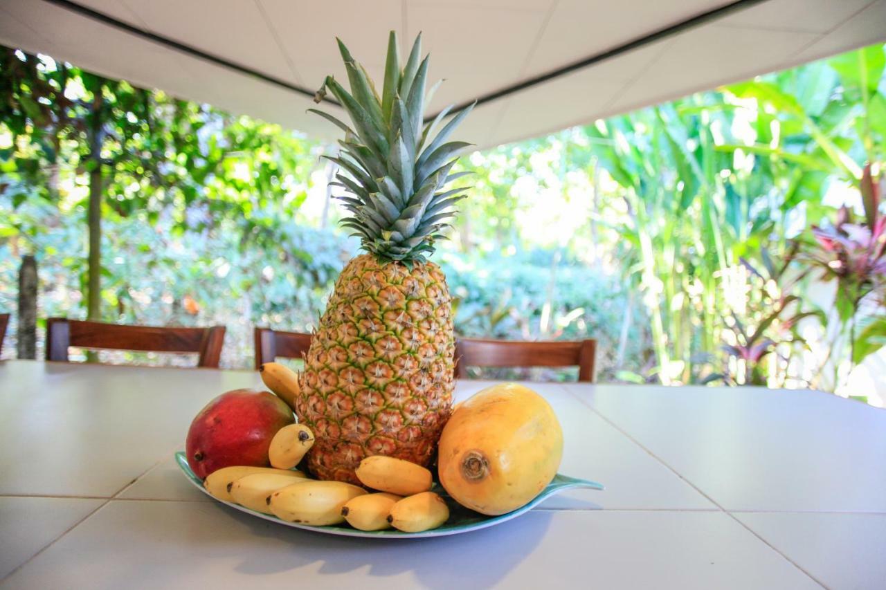 Casa Cecilia Beach Front Playa Santa Teresa  ภายนอก รูปภาพ